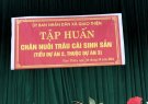 TẬP HUẤN CHĂN NUÔI TRÂU CÁI SINH SẢN