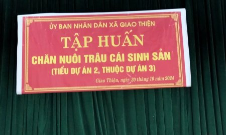 TẬP HUẤN CHĂN NUÔI TRÂU CÁI SINH SẢN